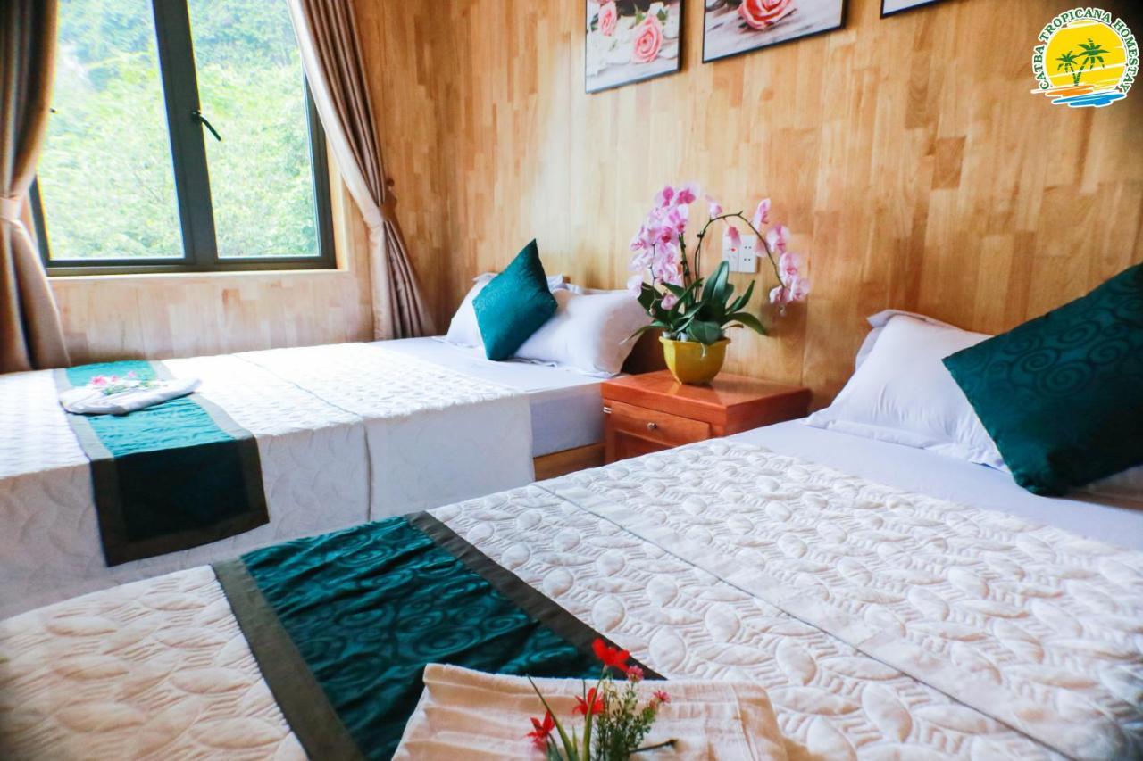 Cat Ba Tropicana Homestay Кат-Ба Экстерьер фото