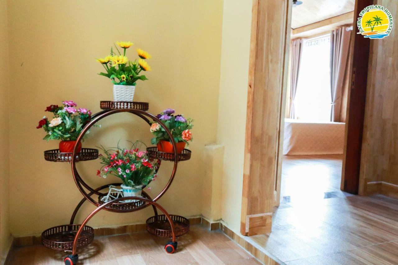 Cat Ba Tropicana Homestay Кат-Ба Экстерьер фото