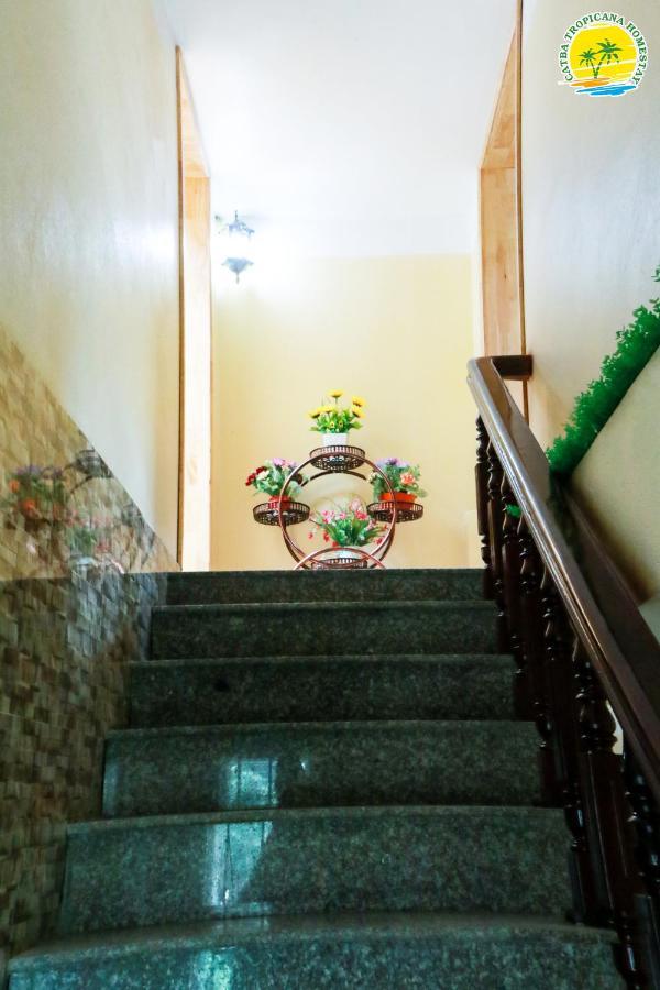 Cat Ba Tropicana Homestay Кат-Ба Экстерьер фото